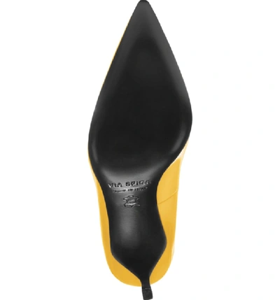 Shop Via Spiga Nikole Pointy Toe Pump In Marigold Patent Leather