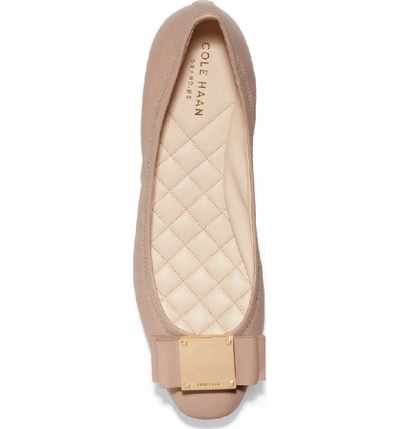 Cole haan tali modern shop bow ballet