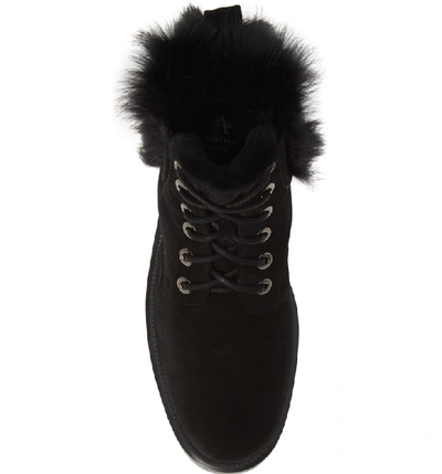 Shop Aquatalia Lacy Genuine Shearling Lined Boot With Genuine Rabbit Fur Trim In Black