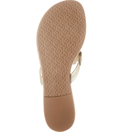 Tory Burch Miller Scalloped Medallion Sandal In Gold ModeSens