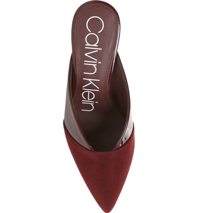 Shop Calvin Klein Gosha Mule In Bordeaux Suede