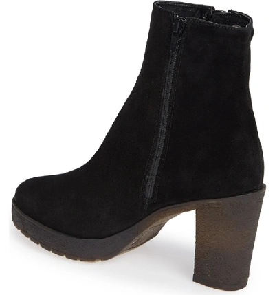 Shop Amalfi By Rangoni Lupetto Side Zip Bootie In Black Suede