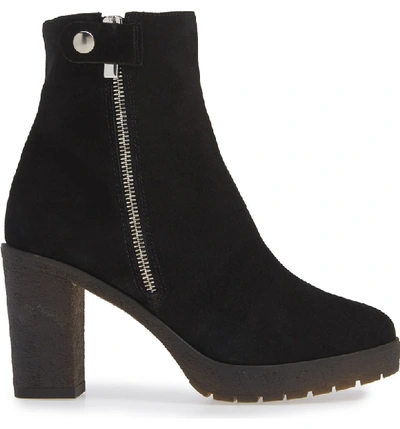 Shop Amalfi By Rangoni Lupetto Side Zip Bootie In Black Suede