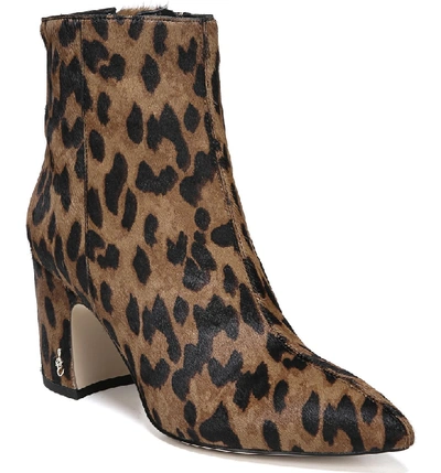 Shop Sam Edelman Hilty Genuine Calf Hair Bootie In Leopard Brahma Hair