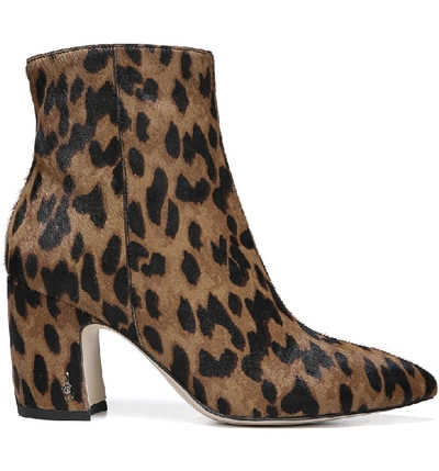 Shop Sam Edelman Hilty Genuine Calf Hair Bootie In Leopard Brahma Hair