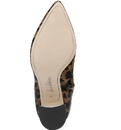 Shop Sam Edelman Hilty Genuine Calf Hair Bootie In Leopard Brahma Hair