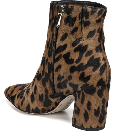 Shop Sam Edelman Hilty Genuine Calf Hair Bootie In Leopard Brahma Hair