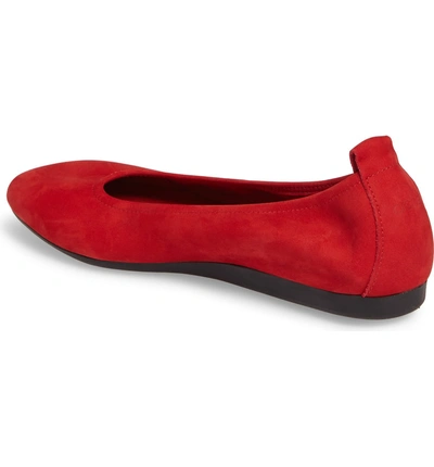 Shop Arche 'laius' Flat In Passion Nubuck Leather
