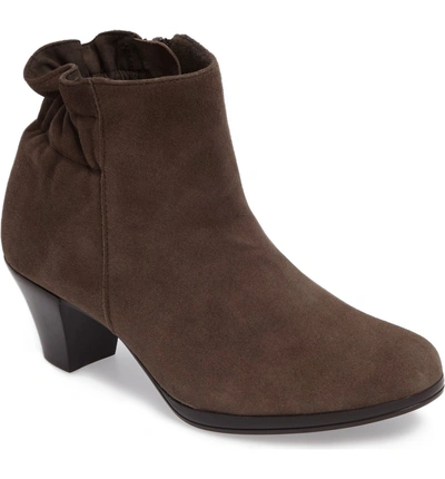 Shop Munro Alfie Bootie In Greige Suede