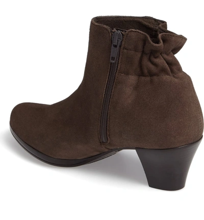 Shop Munro Alfie Bootie In Greige Suede