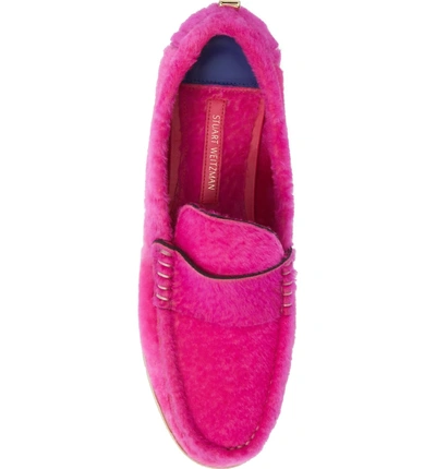 Shop Stuart Weitzman Bromley Genuine Shearling Loafer In Flamingo Chicago