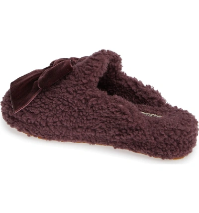 Shop Ugg Addison Velvet Bow Genuine Shearling Slipper In Port