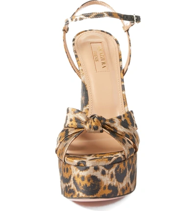 Shop Aquazzura Baba Platform Sandal In Leopard