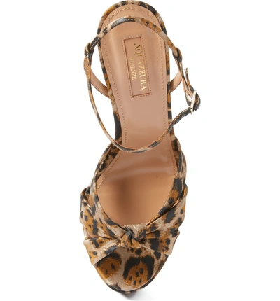 Shop Aquazzura Baba Platform Sandal In Leopard