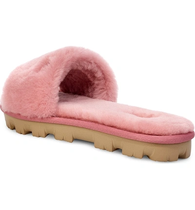 Shop Ugg Cozette Genuine Shearling Slipper In Pink Dawn