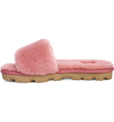 Shop Ugg Cozette Genuine Shearling Slipper In Pink Dawn