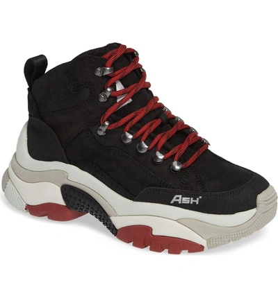 Shop Ash Alfa Hiker Sneaker In Black/ Black
