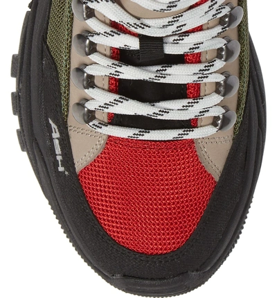 Shop Ash Alfa Hiker Sneaker In Black/ Red/ Green