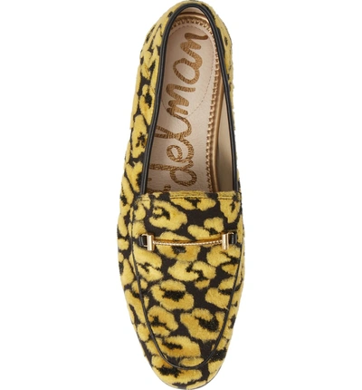 Shop Sam Edelman Lior Loafer In Tuscan Yellow Leopard Velvet