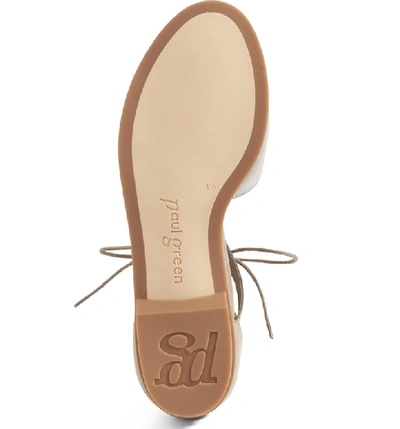 Shop Paul Green Morea Lace-up Sandal In Smoke/ Truffle Leather