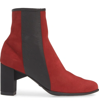 Shop Arche Karima Bootie In Opera/ Noir Nubuck