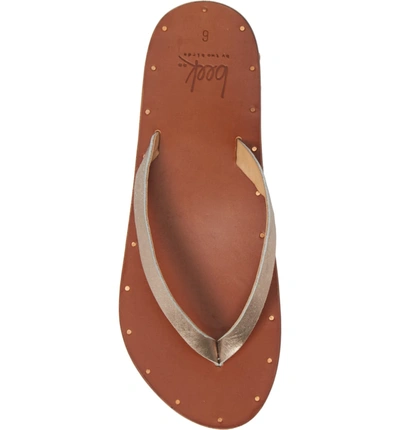 Shop Beek Seabird Flip Flop In Bronze/ Tan