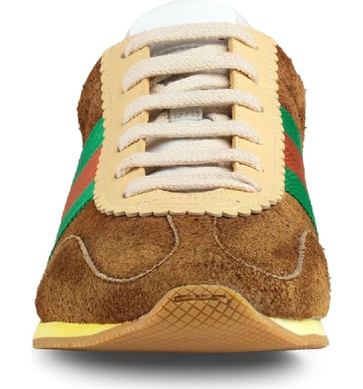 Shop Gucci Rocket Convertible Sneaker In Brown