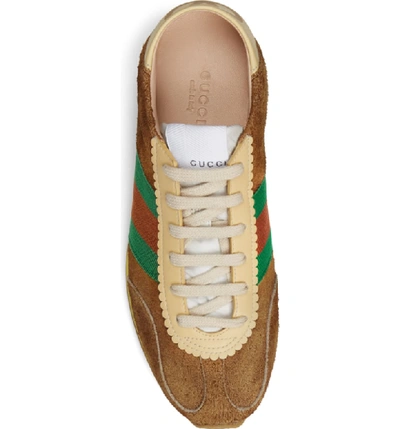 Shop Gucci Rocket Convertible Sneaker In Brown