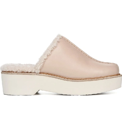 Shop Vince Adler Genuine Shearling Lined Platform Mule In Putty