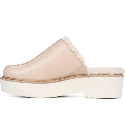 Shop Vince Adler Genuine Shearling Lined Platform Mule In Putty