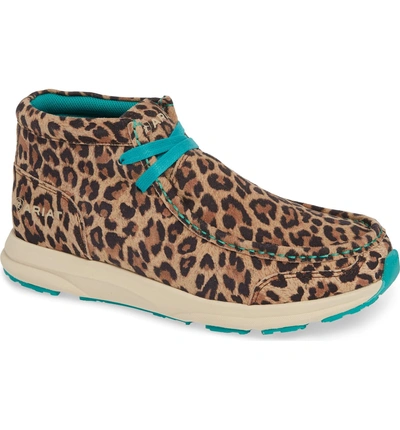 Shop Ariat Spitfire Chukka Boot In Leopard Print Leather