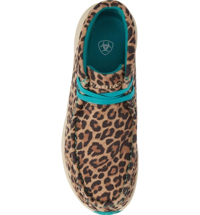 Shop Ariat Spitfire Chukka Boot In Leopard Print Leather