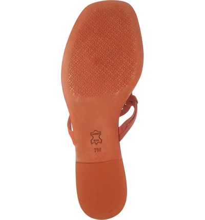 Shop Tory Burch Miller Square Toe Thong Sandal In Sweet Tangerine