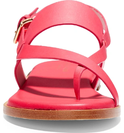 Shop Cole Haan Anica Sandal In Teaberry Leather
