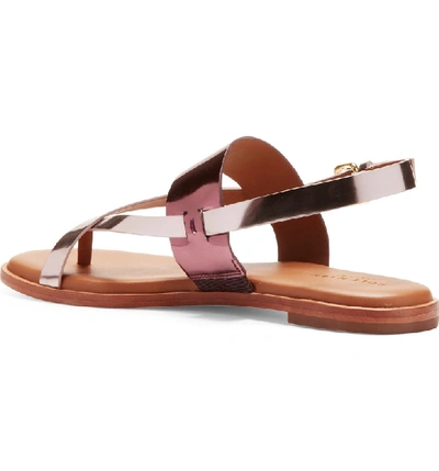 Shop Cole Haan Anica Sandal In Cordovan/ Wild Ginger Leather