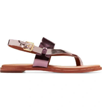 Shop Cole Haan Anica Sandal In Cordovan/ Wild Ginger Leather
