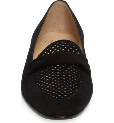 Shop Amalfi By Rangoni Osimo X Perforated Loafer In Black Suede