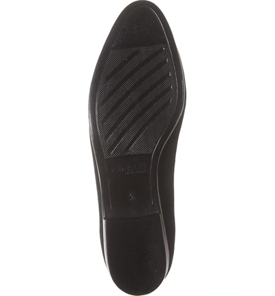Shop Amalfi By Rangoni Osimo X Perforated Loafer In Black Suede