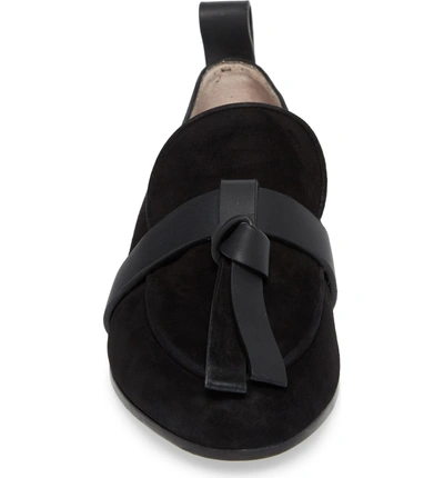 Shop Stuart Weitzman Prescott Knotted Loafer In Black Suede