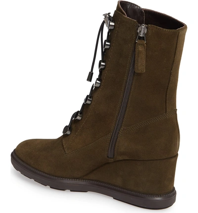 Shop Aquatalia Campbell Wedge Boot In Herb Suede