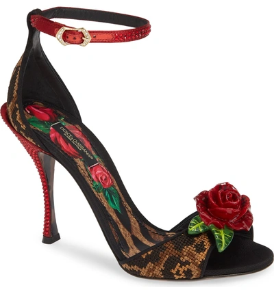 Shop Dolce & Gabbana Rose & Leopard Sandal