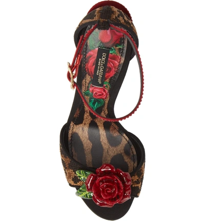 Shop Dolce & Gabbana Rose & Leopard Sandal
