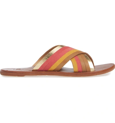 Shop Beek Palila Crisscross Slide Sandal In Multi/ Tan