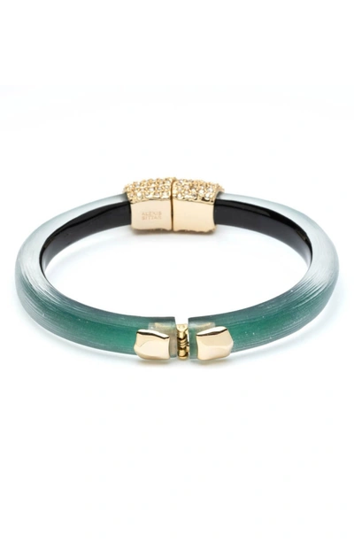 Shop Alexis Bittar Crystal Encrusted Clasp Skinny Bangle In Black Forest