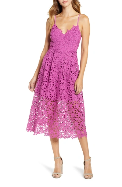 Shop Astr Lace Midi Dress In Vivid Violet