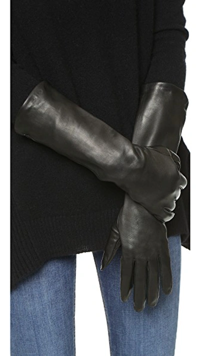Shop Carolina Amato Long Leather Gloves In Black