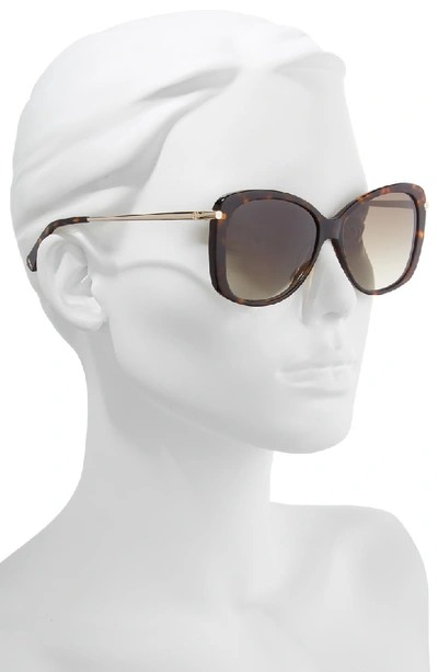 Shop Longchamp 56mm Gradient Lens Butterfly Sunglasses In Dark Havana