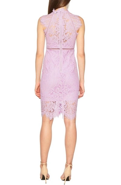 Shop Bardot Lace Sheath Dress In Light Purple