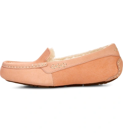 Shop Ugg Ansley Water Resistant Slipper In Sunset Suede