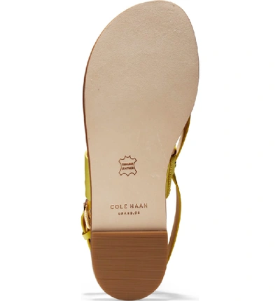 Shop Cole Haan Anica Sandal In Lemon Leather